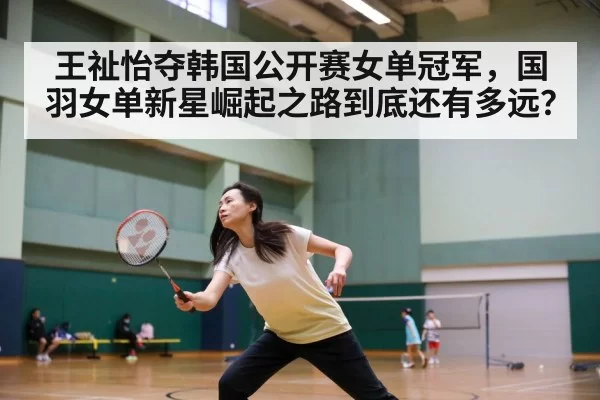 王祉怡夺韩国公开赛女单冠军，国羽女单新星崛起之路到底还有多远？