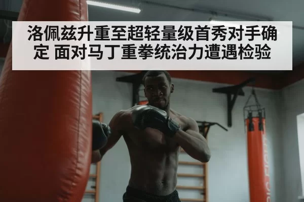 boxer training heavy bag