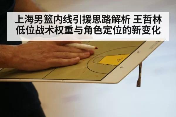 上海男篮内线引援思路解析 王哲林低位战术权重与角色定位的新变化